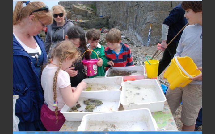 Rock pool picture with kids