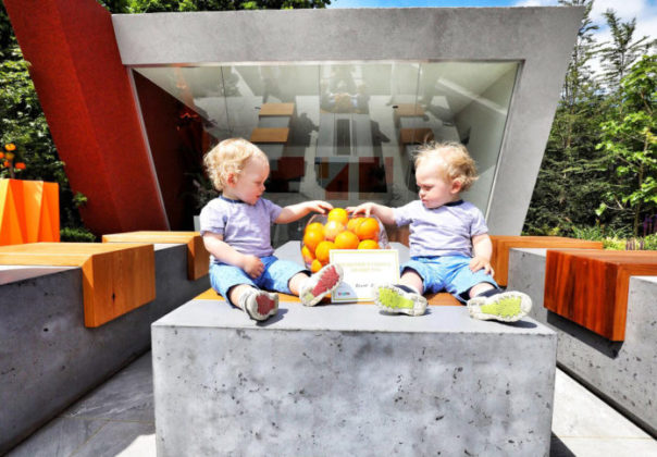Twins Logan and Kal Smith (1) from Navan enjoy the Fruit Juice Matters Garden at Bord Bia's Bloom 2018 where 20 show gardens, 13 postcard gardens and 200 retail stands that include more than 100 food and drink exhibitors and some 30 plant nurseries are on display. The 70-acre site of stages, marquees and pavilions are hosting in the region of 150 live talks, demonstrations and family-friendly activities continues untilMonday, June 4th. Photo Fennell Photography