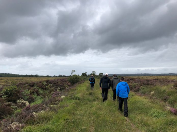 Aghrane-bog-open-day