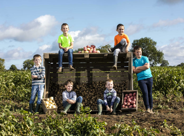 Bord Bia National Potato Day. Photo Chris Bellew /Fennell Photography Copyright 2018