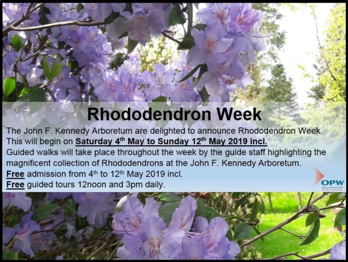 Rhododendron Week Photo