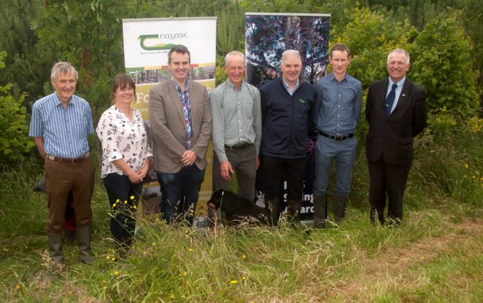 Pictured at the Launch of the 32rd RDS/Forest Service Irish Forestry Awards on the farm of Gerard Deegan (winner of the Teagasc Farm Forestry category 2018): Michael Carey, RDS Agriculture and Climate Change Committee; Olive Leavy, Westmeath Forest Owner Group; Rory Greene, DAFM; Gerard Deegan, Forest owner; Liam Kelly, Teagasc; Bernard Kiernan, MidWestern Forestry and Professor Gerry Boyle, Teagasc