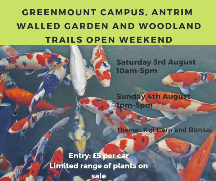 Koi Carp open weekend