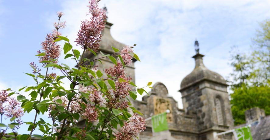 Antrim Castle image