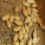 Roasted pumpkin seeds