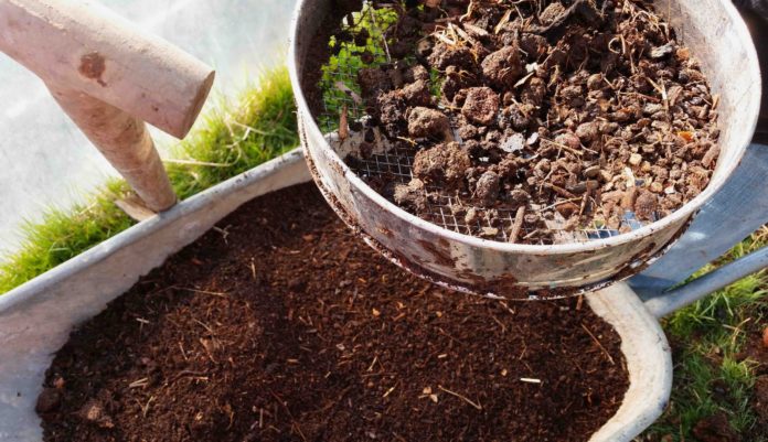 Sieving-home-made-compost-in-the-garden-2015