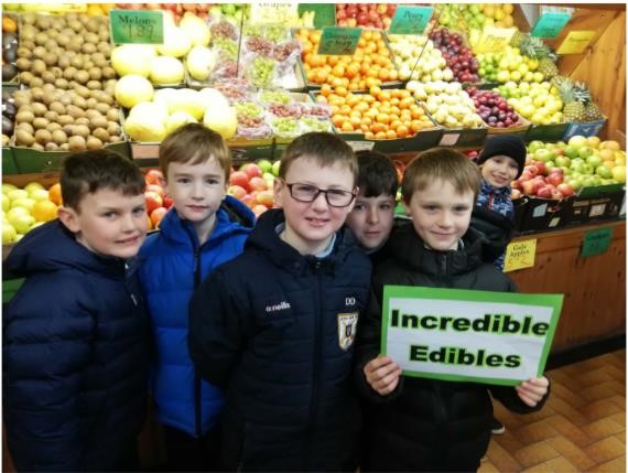Ms Helena Hyland’s 3rd class from Boys National School, Athenry, Co Galway were crowned first place winners of Incredible Edibles.
