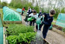 Dublin 15 community garden shows how local action is driving climate and community change